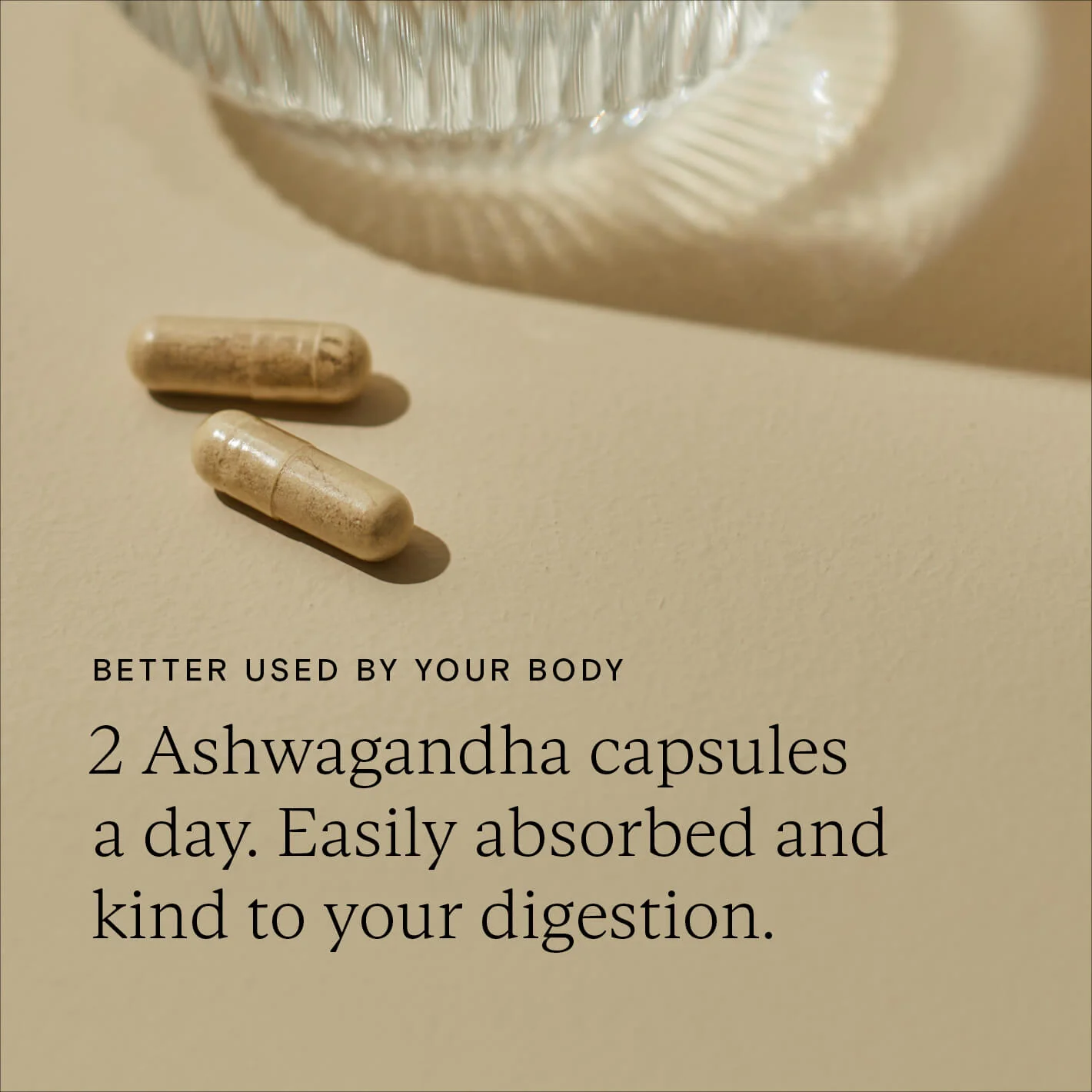 Food-Grown® KSM-66 Ashwagandha Plus - Image 7
