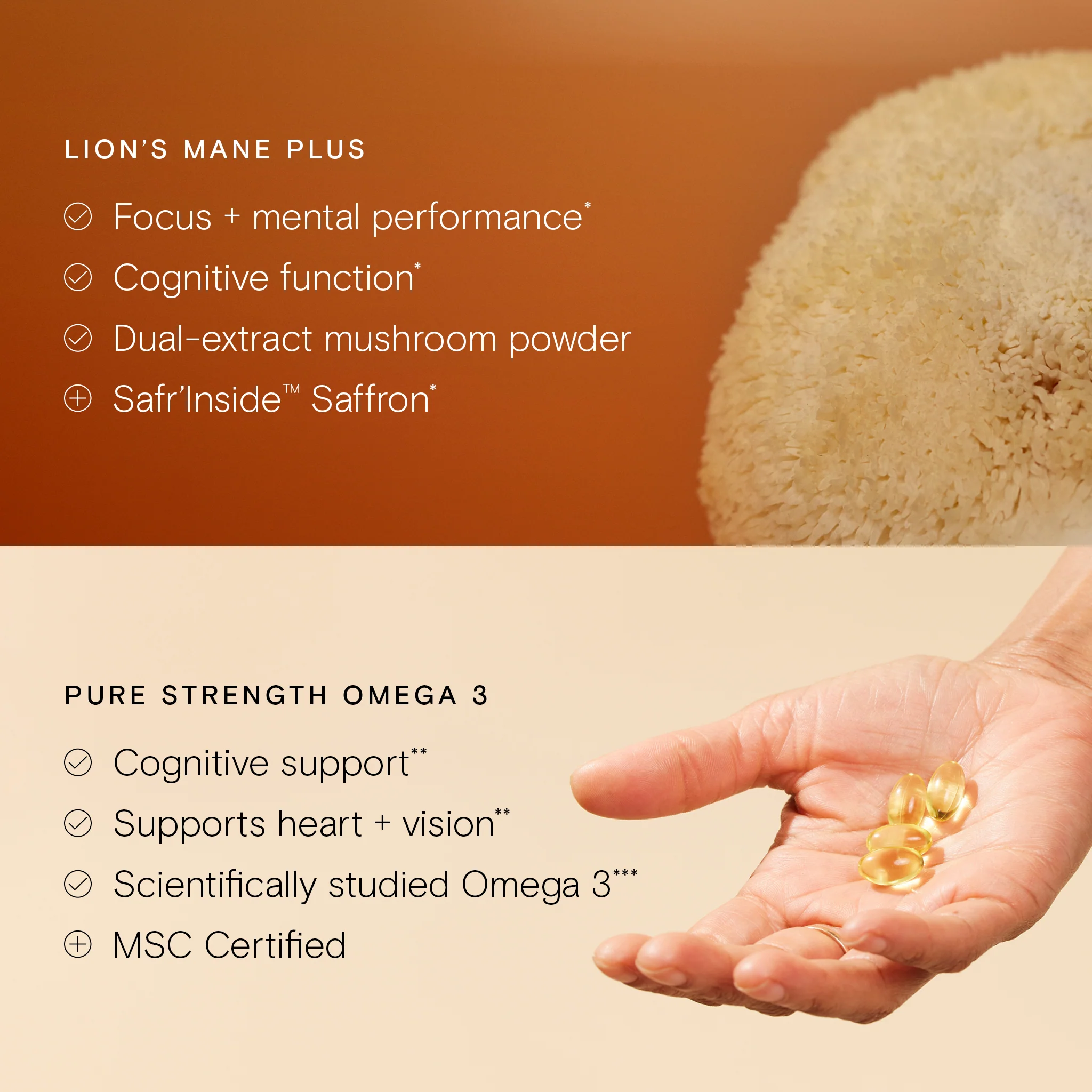 Brain Longevity Duo - Image 2