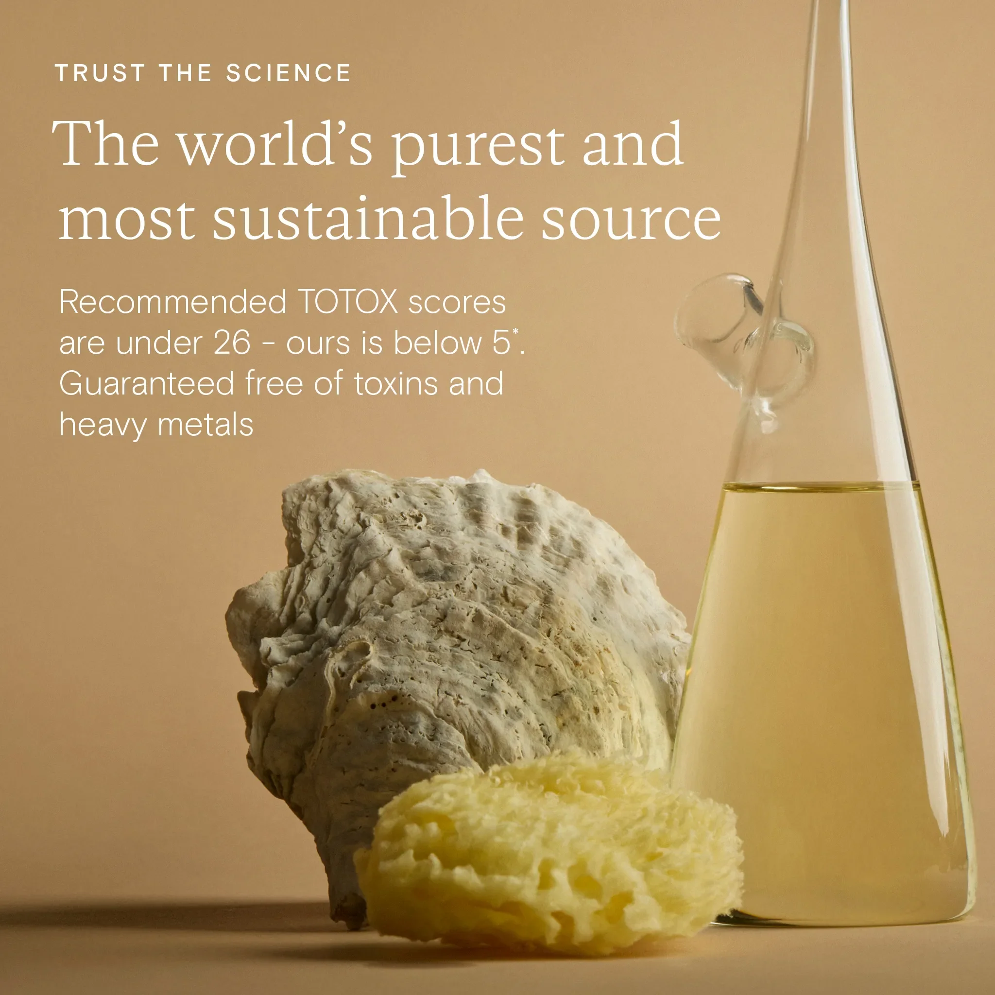 Brain Longevity Duo - Image 7