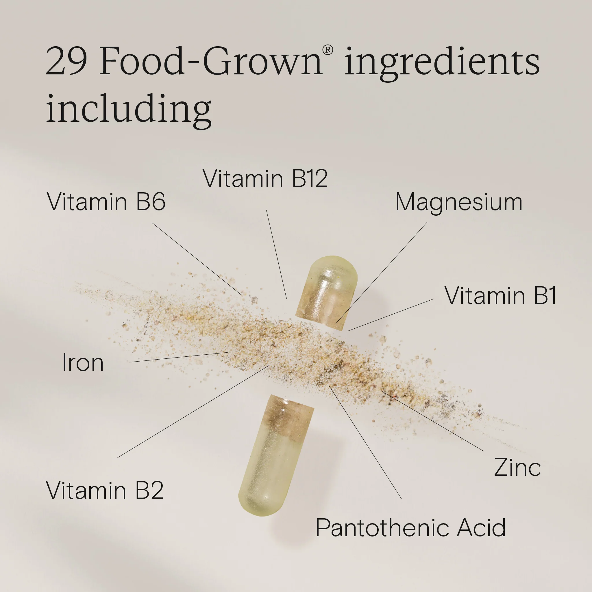 Energy Support - 10 Day Sample Pack - Image 3