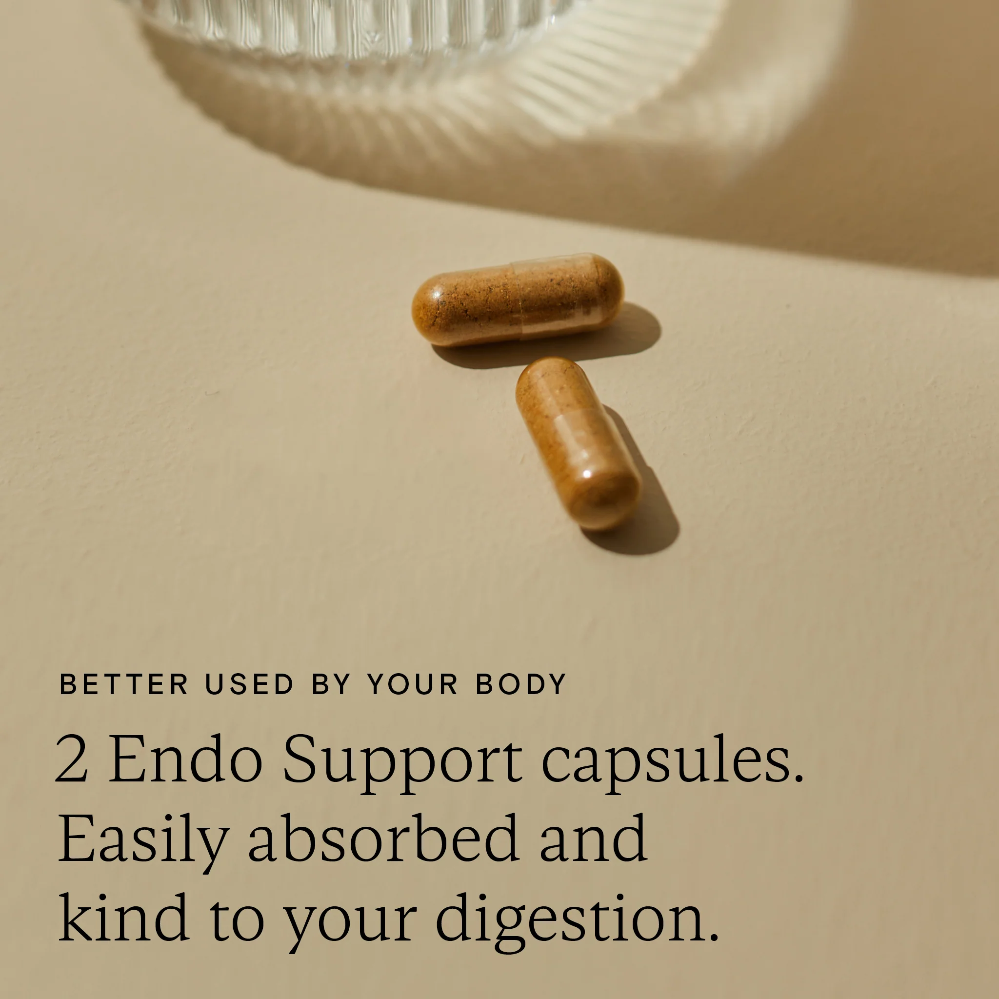 Food-Grown® Endo Support - Image 4