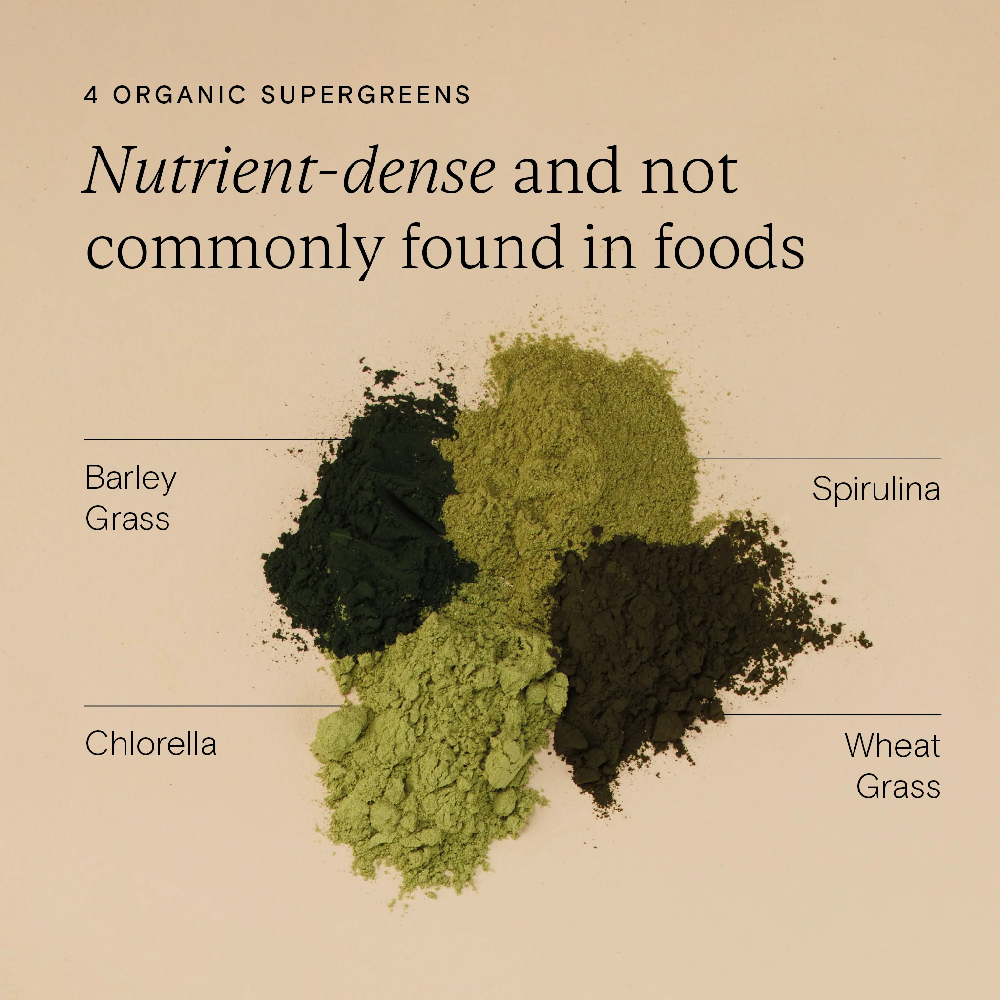 Food-Grown® Organic Protein + Superfood Powder - Image 5