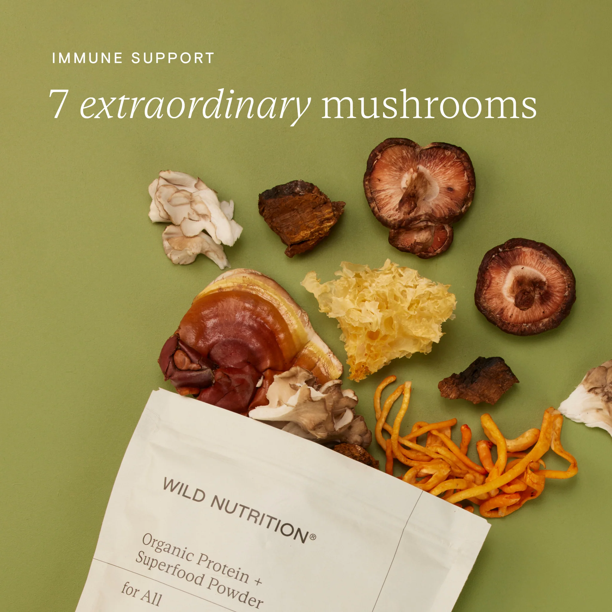 Food-Grown® Organic Protein + Superfood Powder - Image 9
