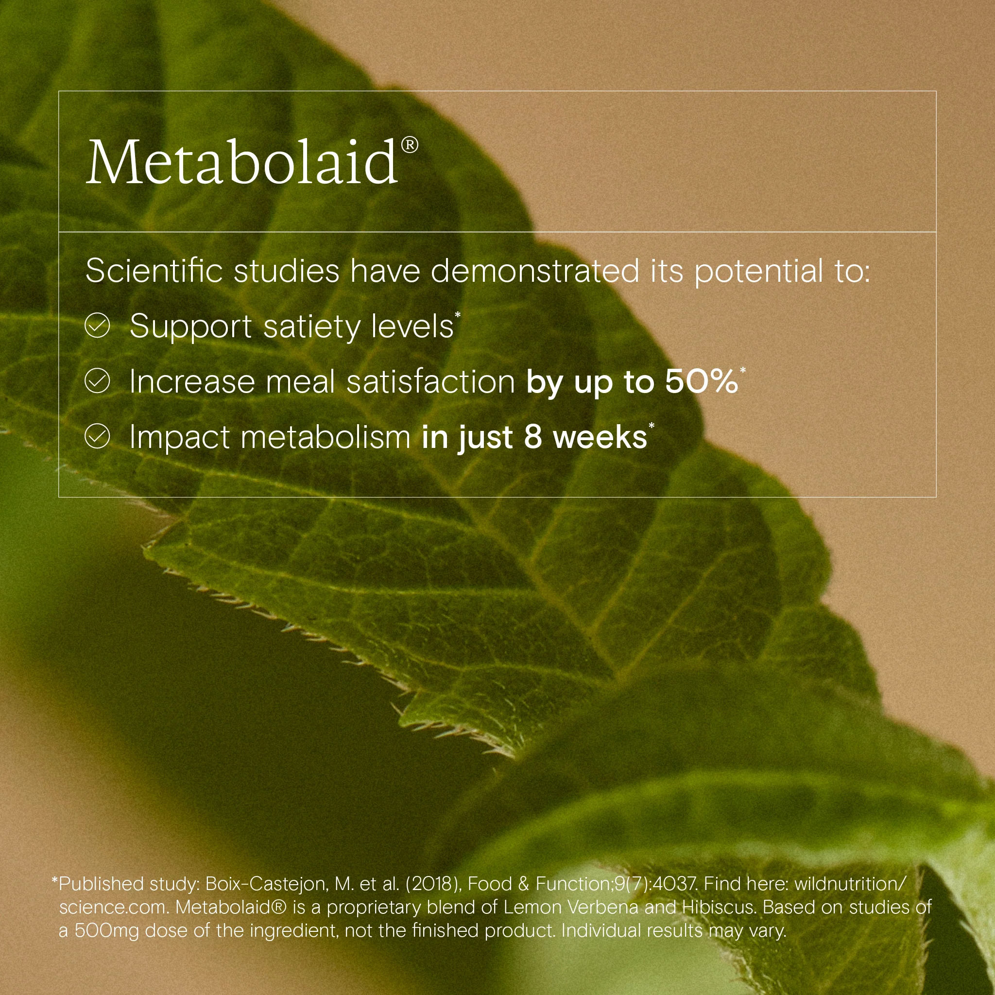 Peri-Metabolic Duo - Image 2