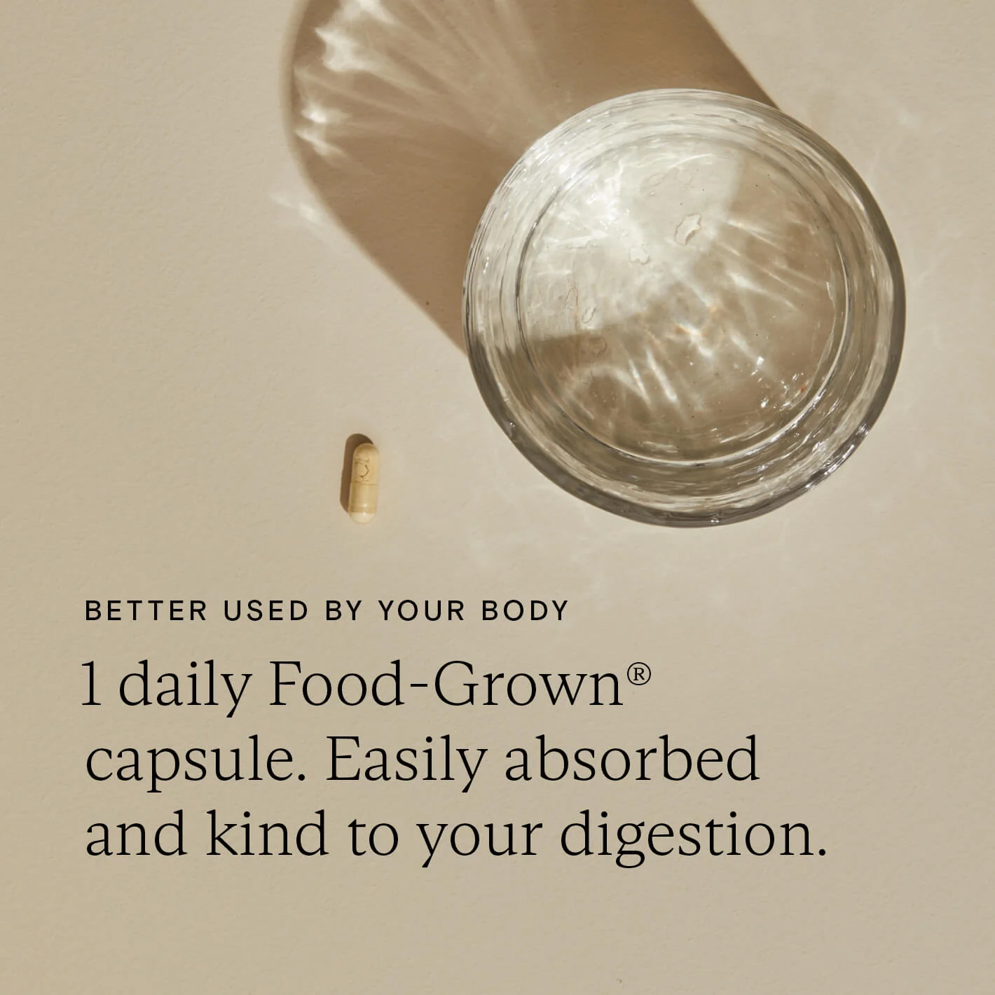 Pregnancy + New Mother Biotic - Image 10