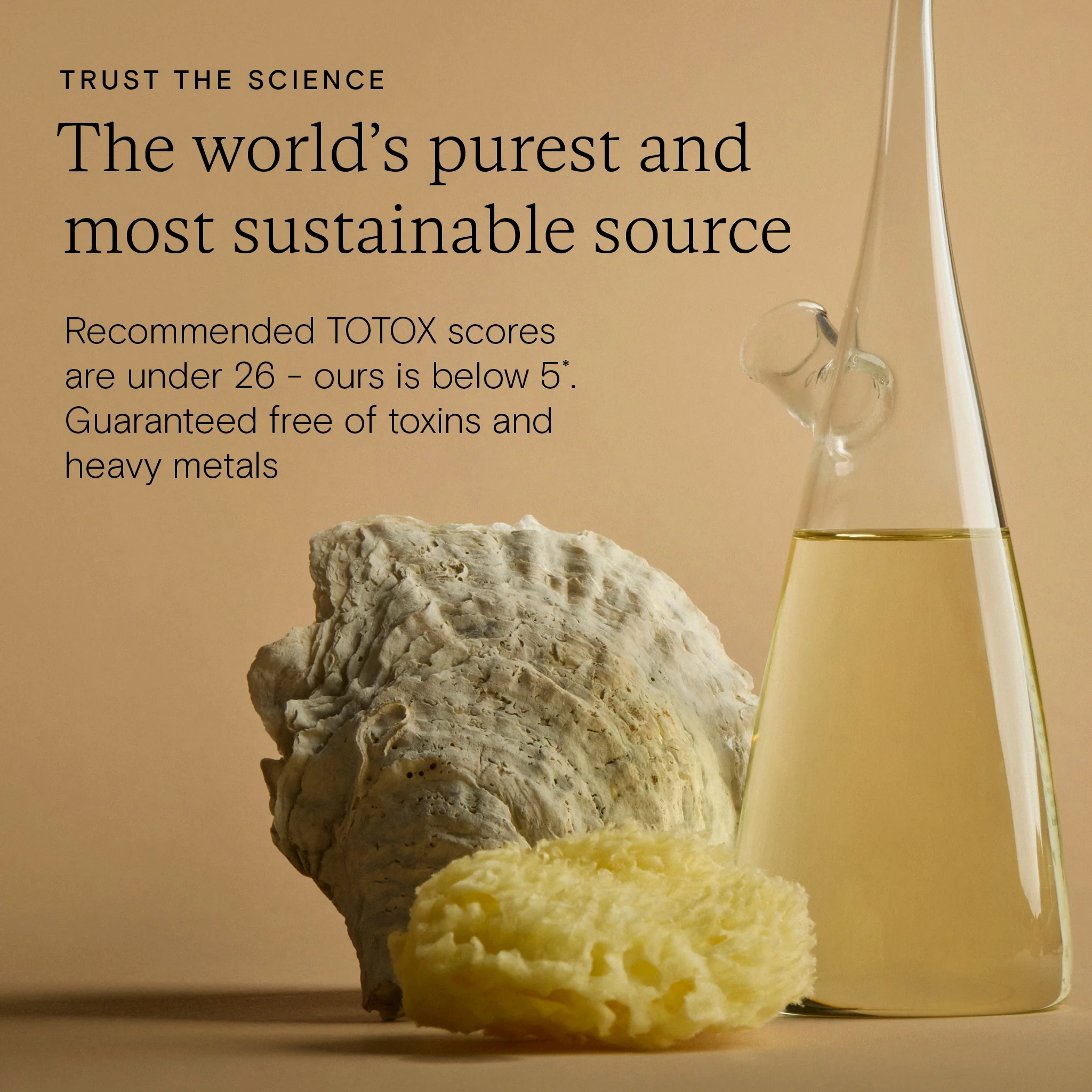Food-Grown® Pregnancy + New Mother Omega 3 - Image 4