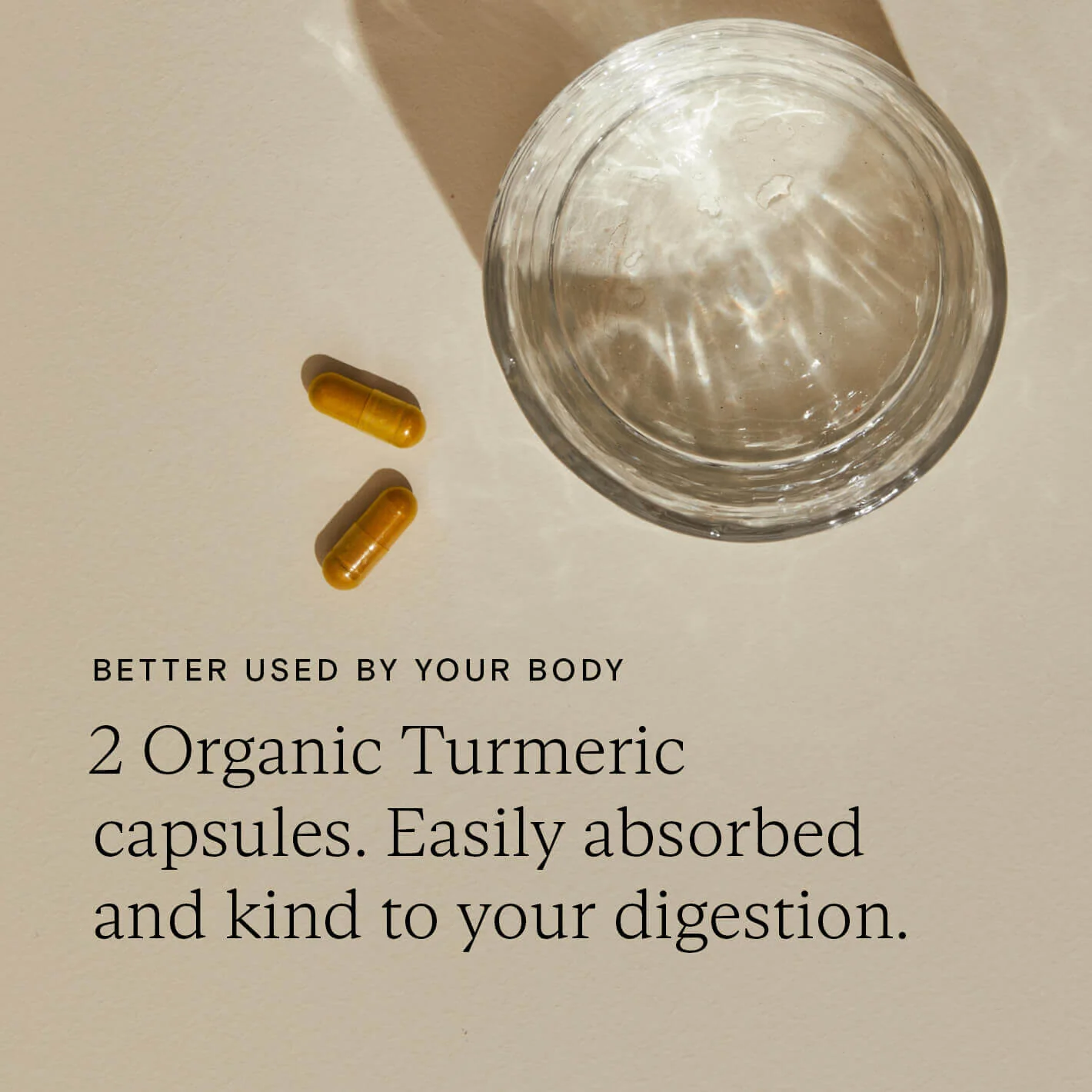 Food-Grown® Organic Turmaforte™ Turmeric - Image 6